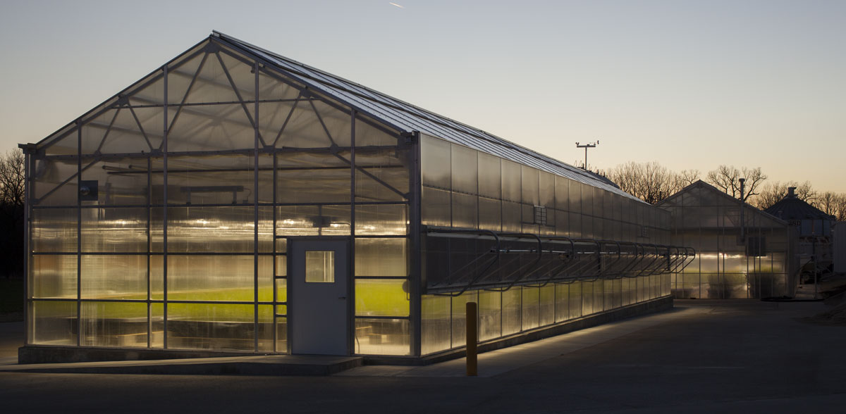 View of the ExpressTec Greenhouse at dusk from the outside. Plants are lit by overhead lights.